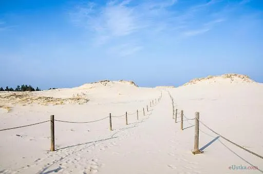 Kamienica Arte 5 Апартаменты *